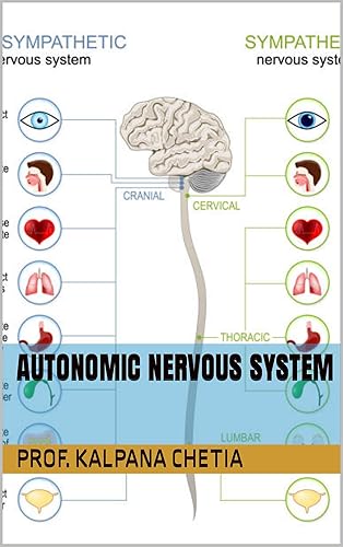 Autonomic nervous System