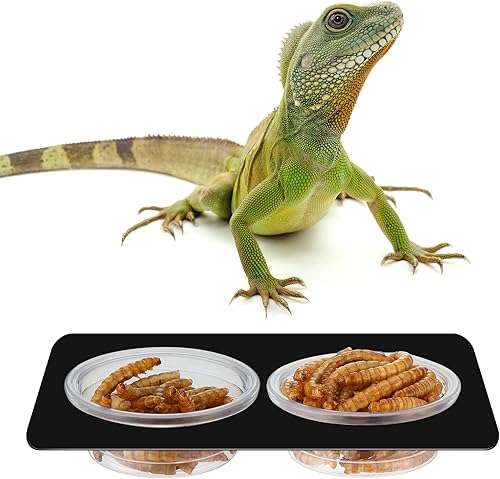 Miniatura 4 de EBOOT 500 vasos Gecko para alimentos y agua pequeños de plástico, accesorios para reptiles, cuenco de agua para reptiles, tazones de comida Gecko,