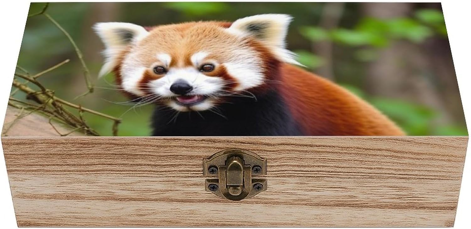 Lightweight Wooden Box, Hinged Lid, Retro Clasps, 7.9'' X 3.9'' X2.3''