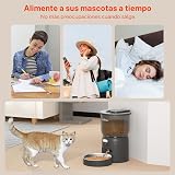 Ver la foto 7