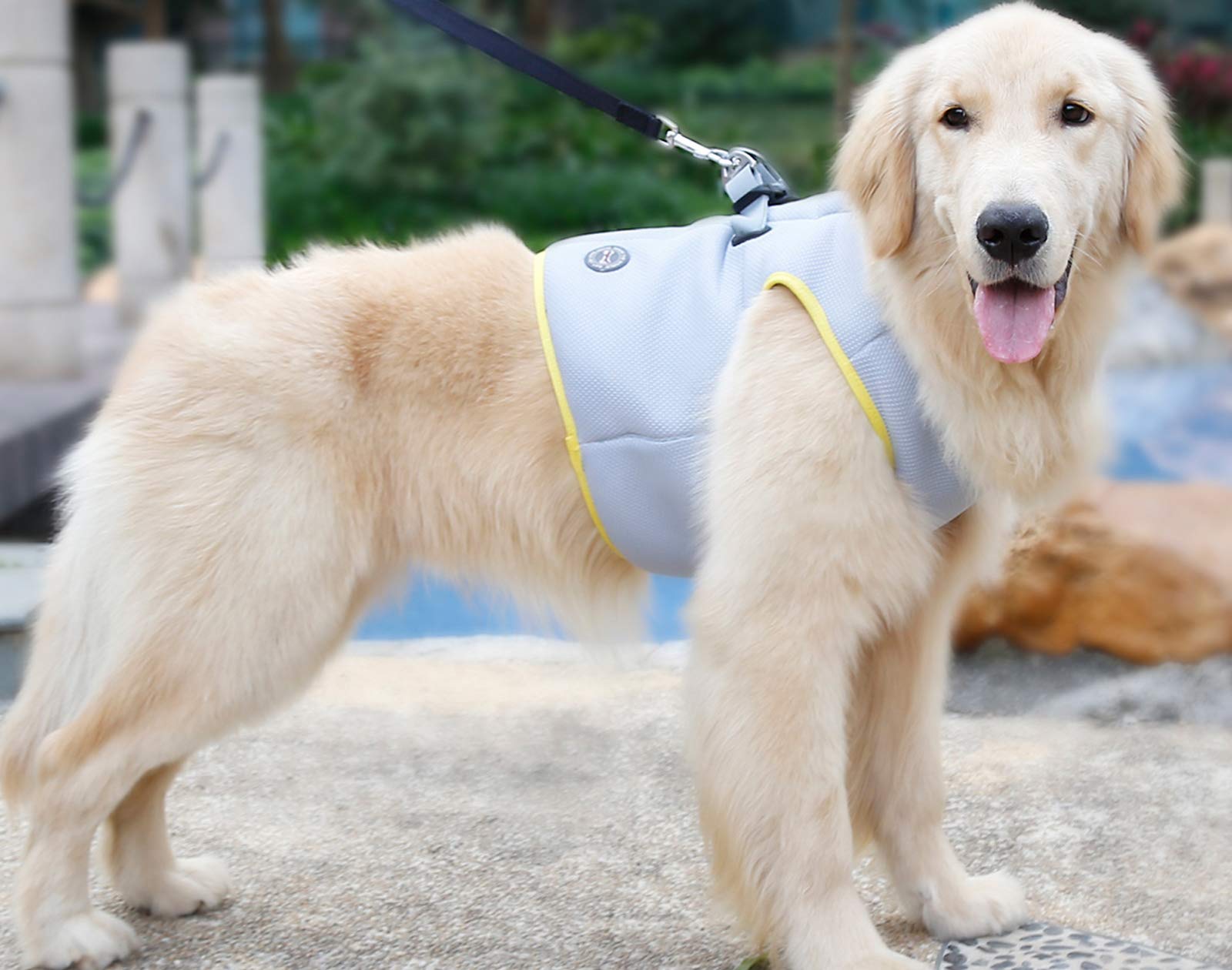 Hund Kühlgeschirr Sommer Mesh Verstellbar Hund Kühlweste Jacke Outdoor Sonnenfest Haustier Mäntel für Kleine Mittlere Große Hunde (XL)