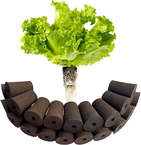 MEYCEMT Large Hydroponic Sponges 20 Pack 2.17 Inch Tall for Deep Grow Baskets, Seed Starting Pods for 2 Inch Net Cups MEYCEMT Large Hydroponic Sponges 20 Pack 2.17 Inch Tall for Deep Grow Baskets, Seed Starting Pods for 2 Inch Net Cups