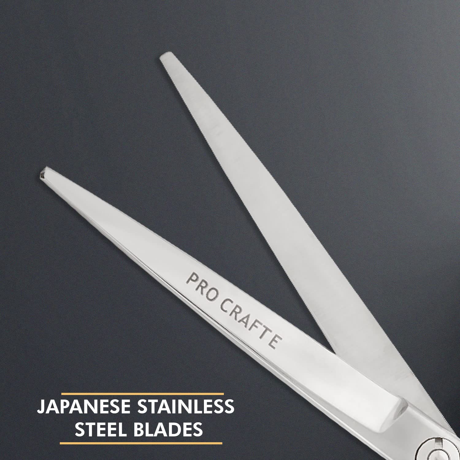 VEGA PROFESSIONAL Pro Craft E 5 Inch Hair Cutting Scissor | Silver Line Stainless Steel Professional Hairdressing Scissors for Salon, Barber & Home Use | Sharp Smooth Blades (VPVSC-19) 2