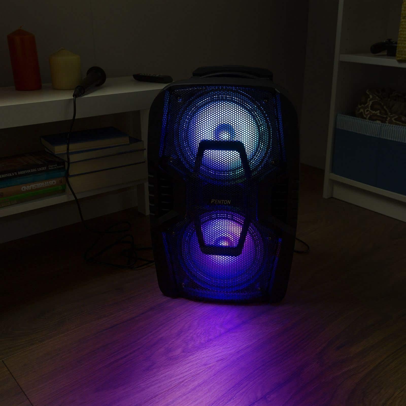 Fenton FT208LED Enceinte Sono Portable Bluetooth avec Batterie 2X 8, Puissance 500W, Enceinte Portable avec roulettes, USB, SD, AUX, Micro Filaire, Eclairage LED, Idéal pour Soirées et Animations