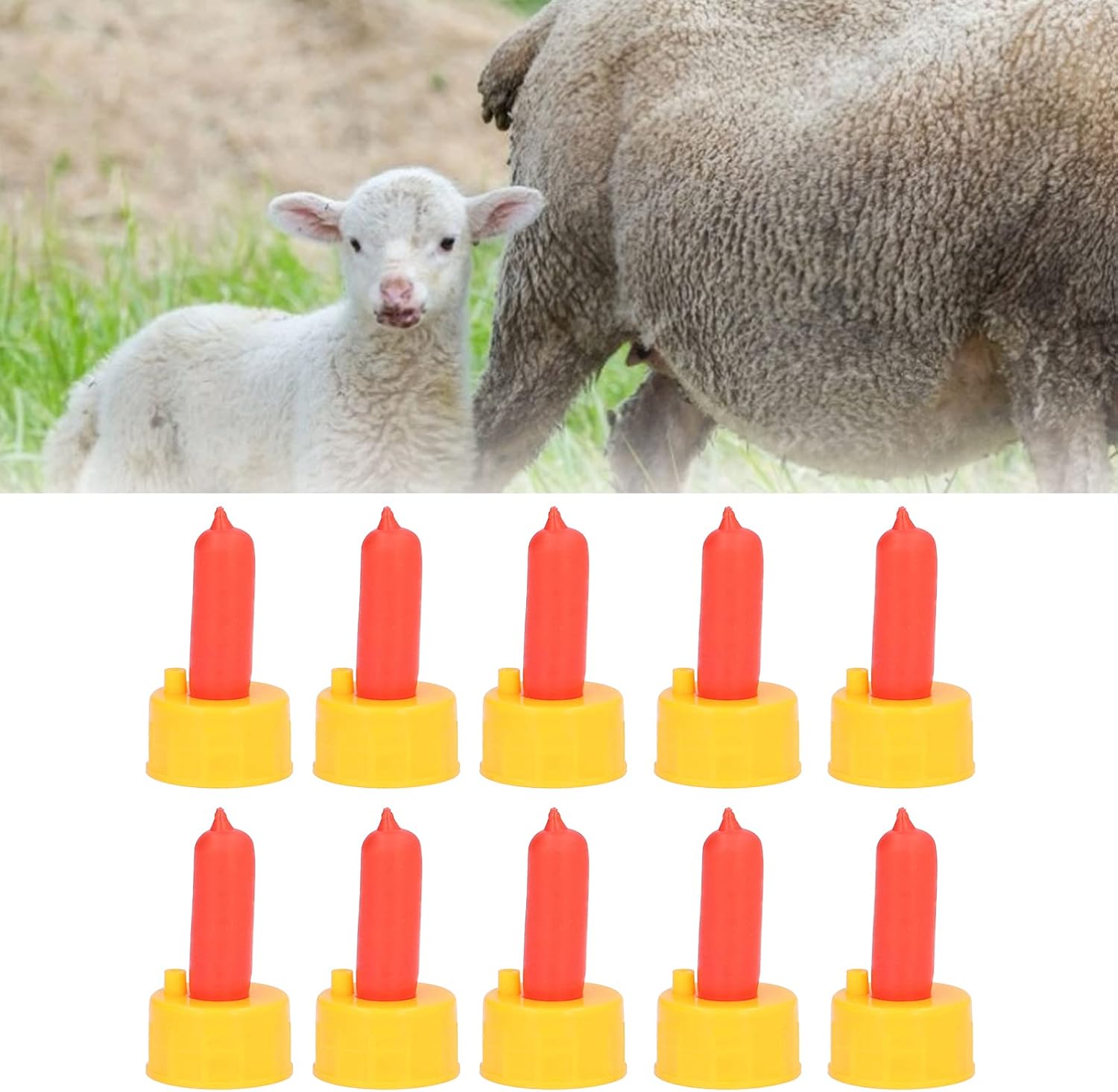 plplaaoo Goat Nursing Nipple, Lamb Drink Nipples, Sheep Drink Nipple, 10Pcs Lamb Milk Drink Nipple Sheep Nursing Feeder Nipple for Orphaned Small Animal Feed Red Animal Feeding Tool