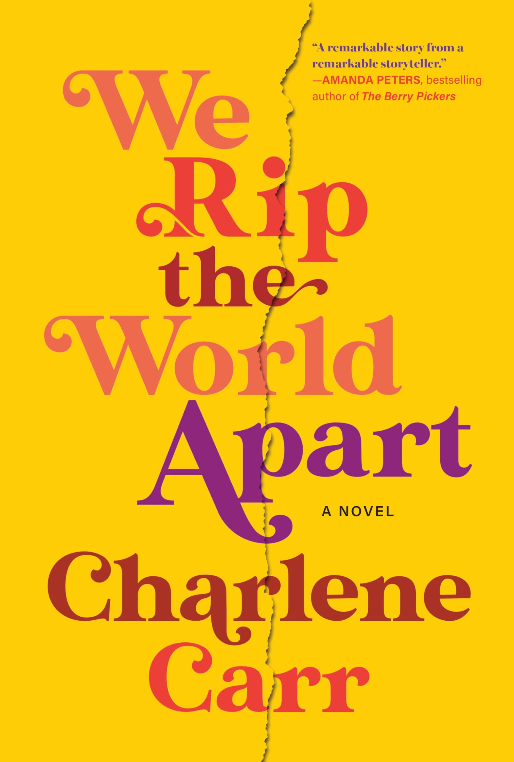 We Rip the World Apart: A Novel, Paperback, by Charlene Carr
