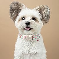 Vista 123 de DOGWONG Collar de perro Airtag de algodón y cáñamo, collar resistente para perros con soporte para Airtag, collares verdes para perros pequeños