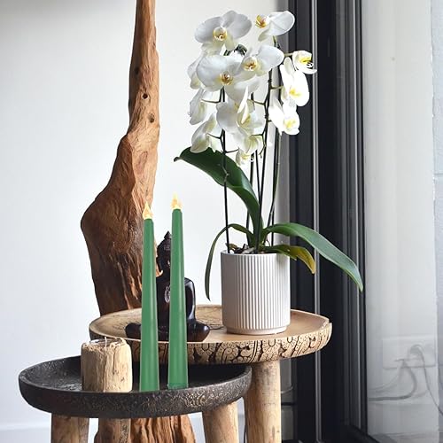 Miniatura 9 de Angoily 6 velas LED cónicas verdes que funcionan con pilas, luces LED sin llama parpadeantes para suministros de altar