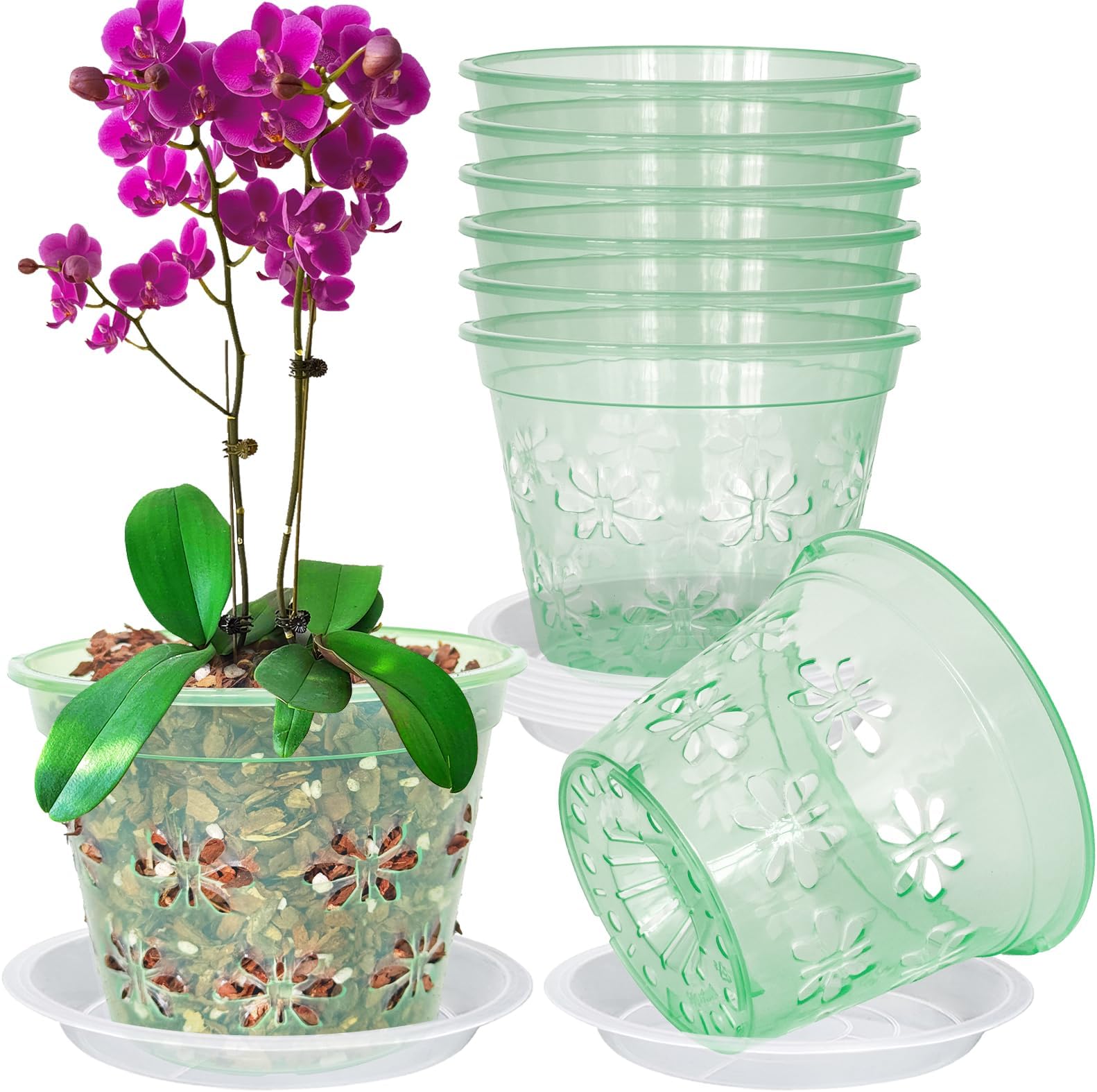 Orchid Pot, 8 Pack Orchid Pots with Holes & Saucers, Clear Plastic Pot for Repotting, Breathable Ventilation Planters for Phalaenopsis, Dendrobium & Oncidium Orchids(6 inch, Green)