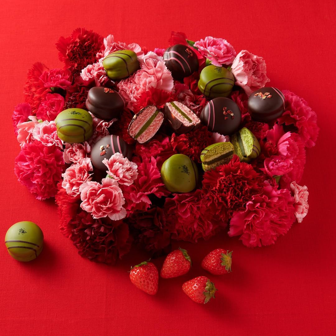 伊藤久右衛門 ショコラマカロン （抹茶・いちご抹茶） 8個入（2個入×4箱） 箱入り 宇治抹茶 いちご チョコレート マカロン