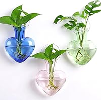 Zhehao 3pcs Heart-Shaped Glass Hydroponic Vases with Suction Cups - Window Hanging Propagation Stations for Plant Lovers & Home Decor