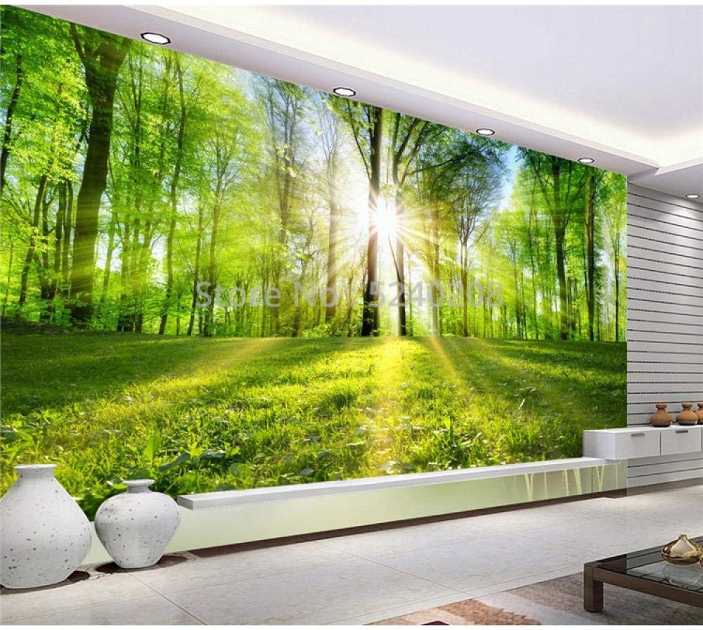 Papier peint mural 3D grand format tapisserie panoramique forêt ensoleillée salon