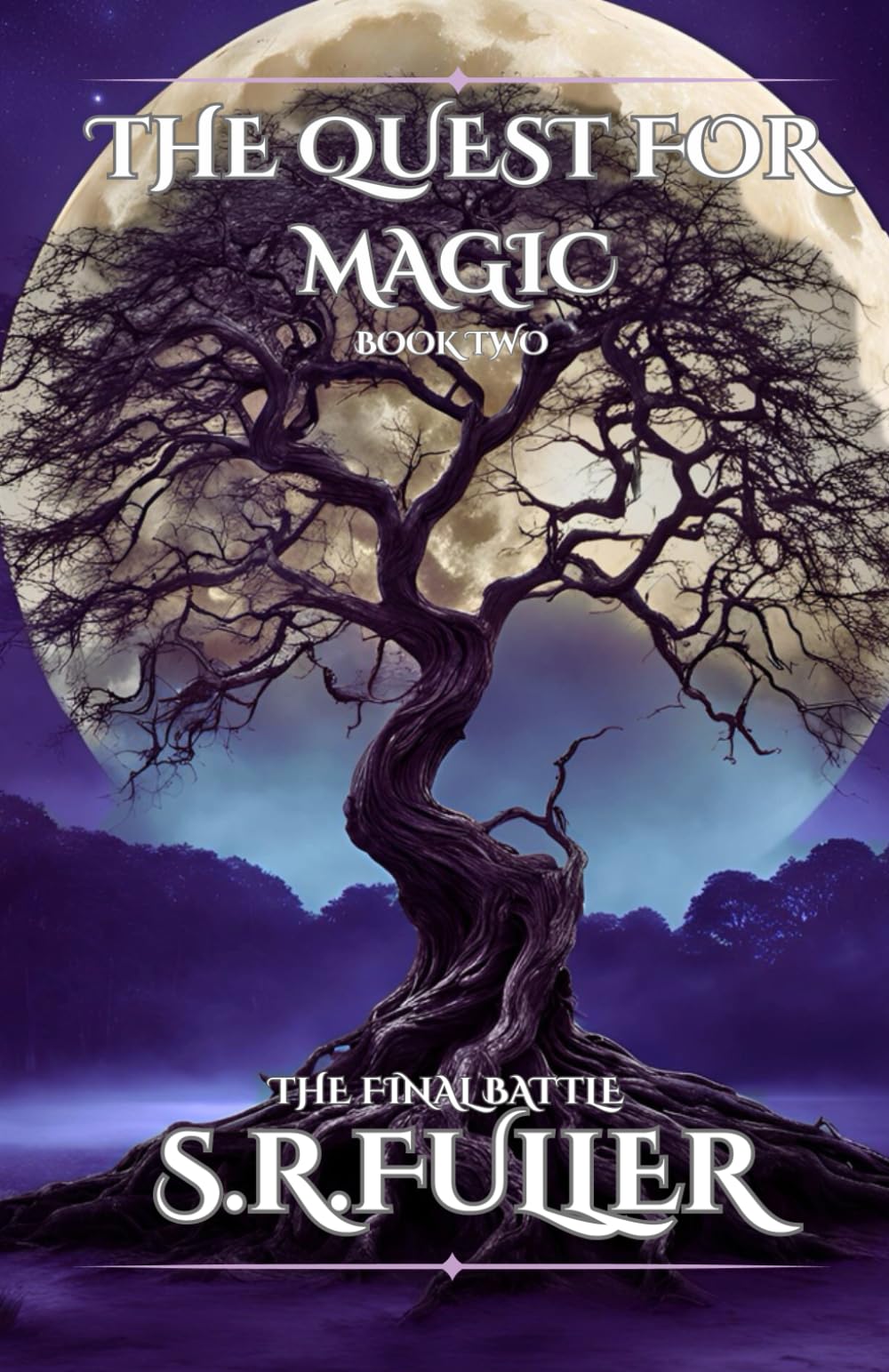 The Quest For Magic: Book Two The Final Battle