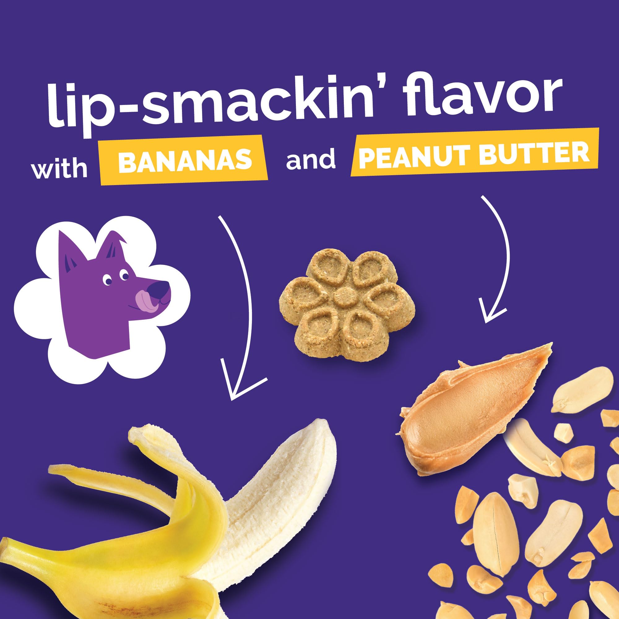 Fruitables Biscotti Per Cani | Biscotti Croccanti Per Cani A Base Di Zucca | Dolcetti Per Cani Sani Pieni Di | Senza Grano, Mais E | Burro Di Arachidi & Banana - 450 g
