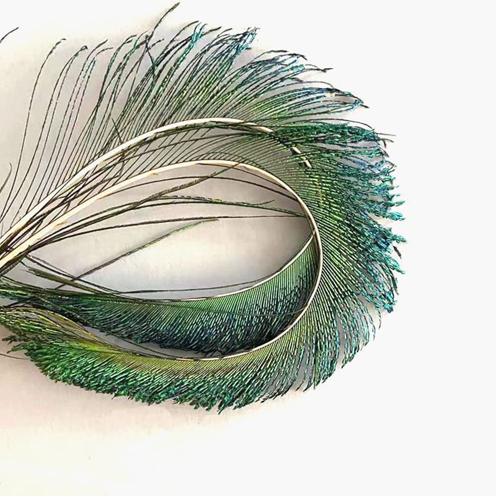 30 Pièces Plumes De Paon Naturelles MWOOT 25-30cm - Plumes Vertes Pour Artisanat, DIY Et Décoration Carnaval