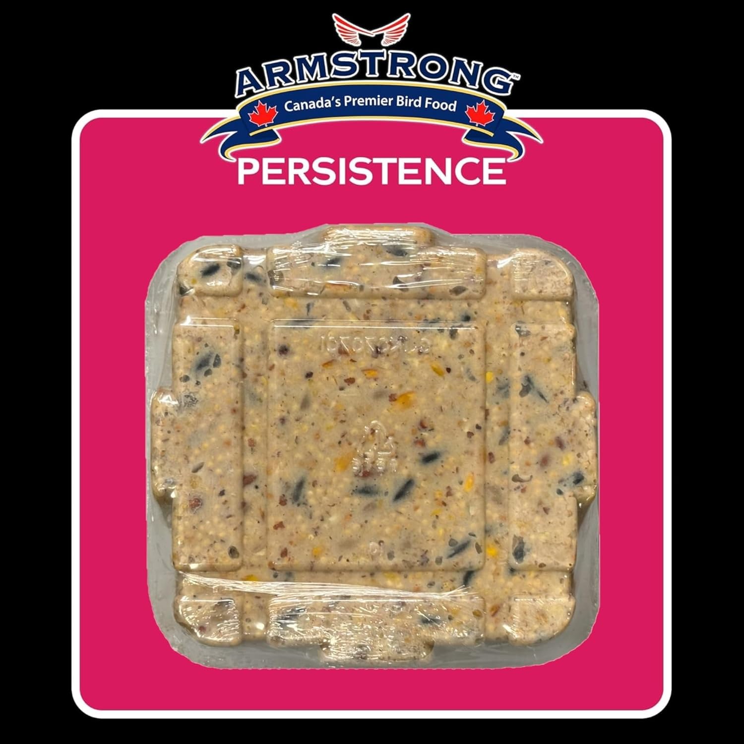 Armstrong Wild Bird Food Royal Jubilee Persistence Suet Cake (12 Total) - with Rendered Beef Fat, Raisins, Peanuts, Cut Corn & Black Oil Sunflower for Downy Woodpeckers
