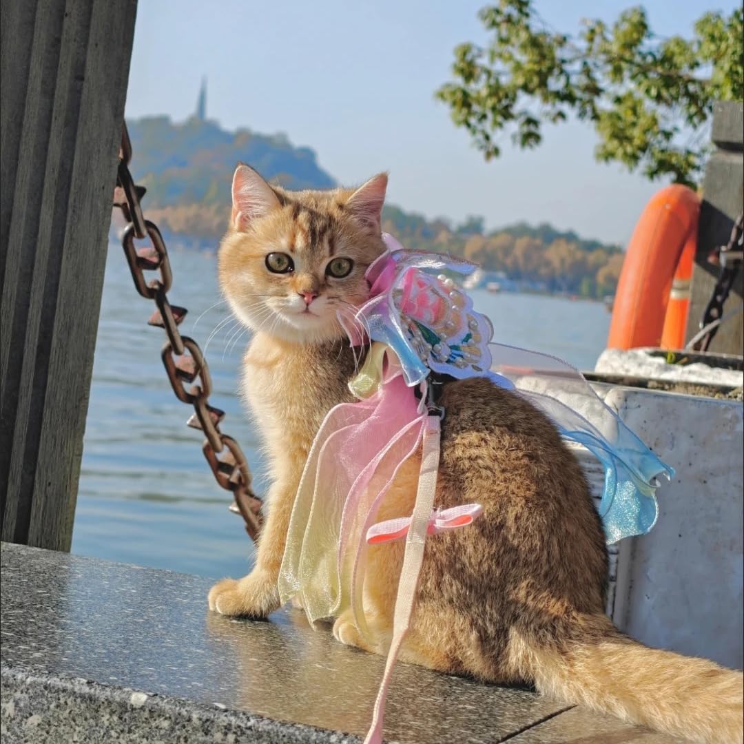 Cat Harness and Leash Set for Walking Escape Proof, Adjustable H-Style Kitten Harness Small Dog Harness with Oversized Embroidery Bow