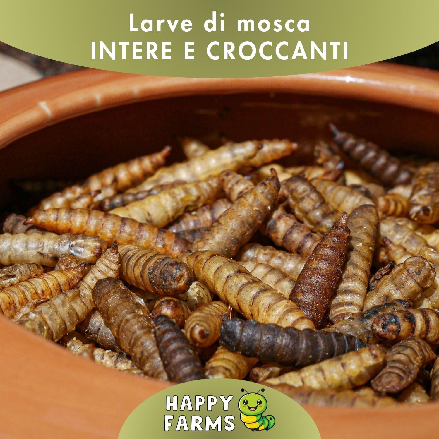 Larve di mosca soldati secchi 10 kg mangime ricco di proteine per uccelli, ricci e pesci