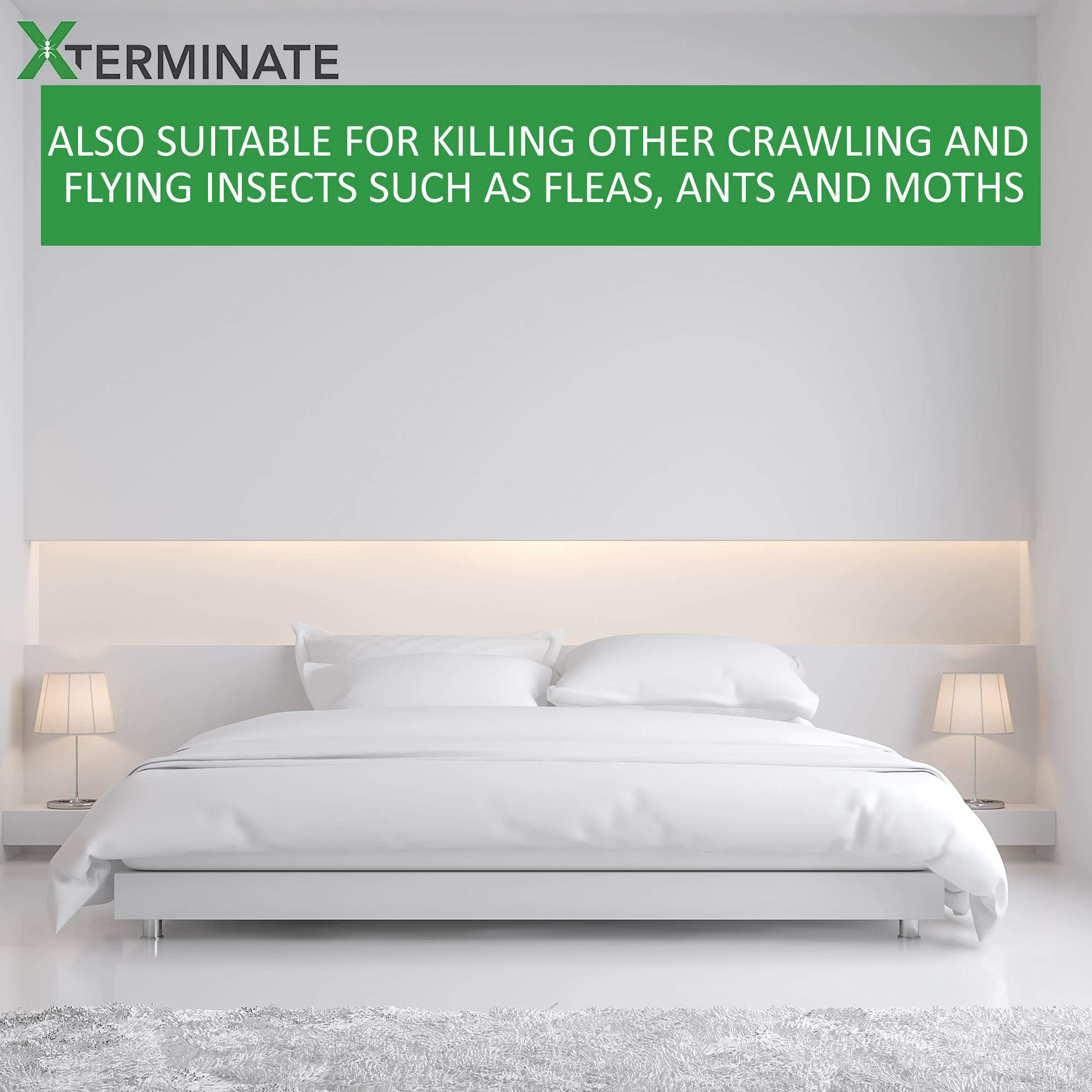 Xterminate XXL Smoke Bomb Fogger Fumer for Bed Bugs Professional Formula for Home Use (HSE