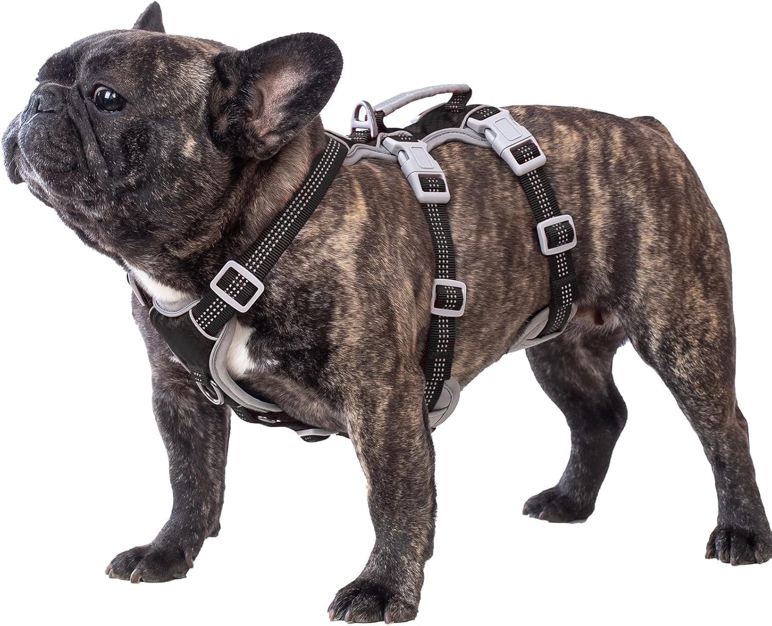 Huntboo Hunde Sicherheitsgeschirr, Sicherheitsgeschirr für Hunde, Vollständig Reflektierendes Geschirr mit Gepolstertem Griff, Wasserdicht, Verstellbare Weste (Schwarz, M)