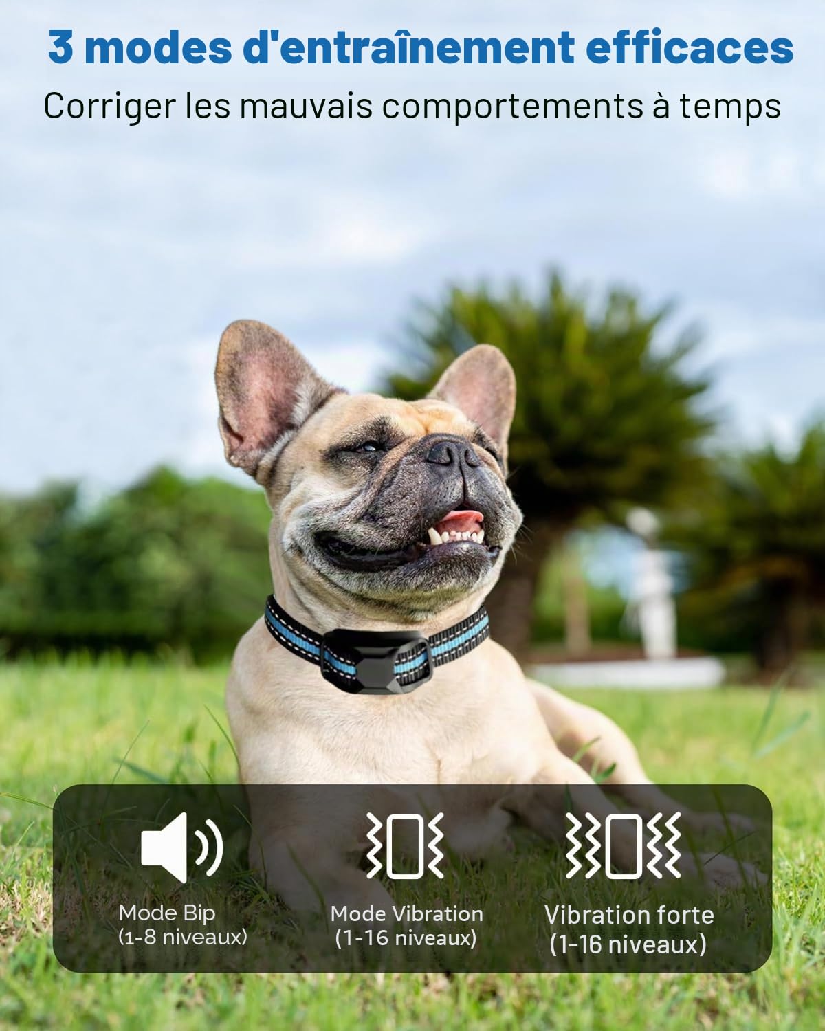 Collier Vibrant-Conformes à La Nouvelle Loi 2024-Collier de Dressage,Portée de 2600 Mètres,Rechargeable avec 3 Modes Son/Vibration/Forte Vibration,Résistant à l'eau IP67,pour Chiens de Toutes Tailles
