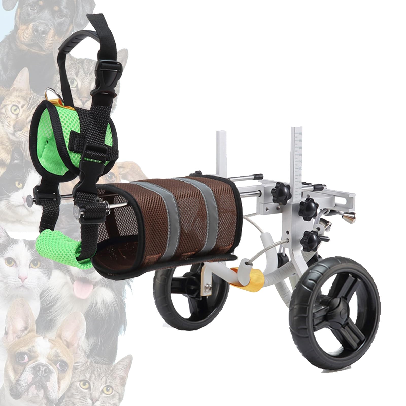 Fauteuil roulant réglable pour chiens pour de belles balades au parc avec votre petit animal