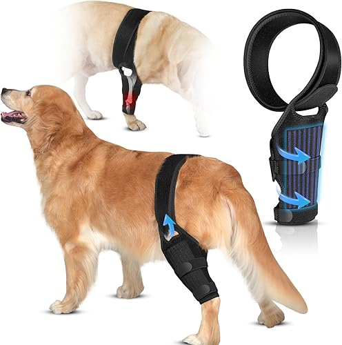 Rodillera para perro para ligamento cruzado del ligamento cruzado del ligamento cruzado CCL alivia el dolor en las articulaciones, comodidad de