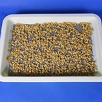 Vista 2 de 100 piezas de papel germinador de germinación de semillas para bandeja de germinación de plantas (sin bandeja)