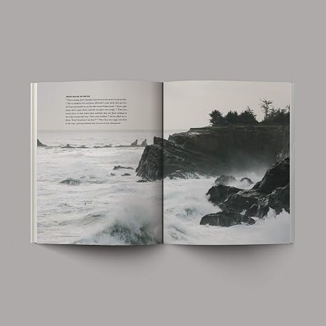 Grehge - Alabaster Bible [Perfect Paperback] Alabaster Co. [Perfect Paperback] Alabaster Co.
