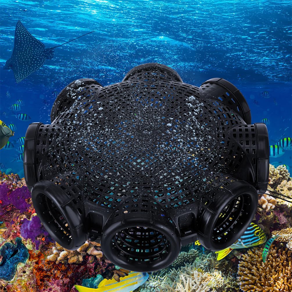 VANZACK 2pcs Fish Cage Bait Holder Lure Cage for Outdoor Fishing Lightweight Pp Material Improved Catching Effect