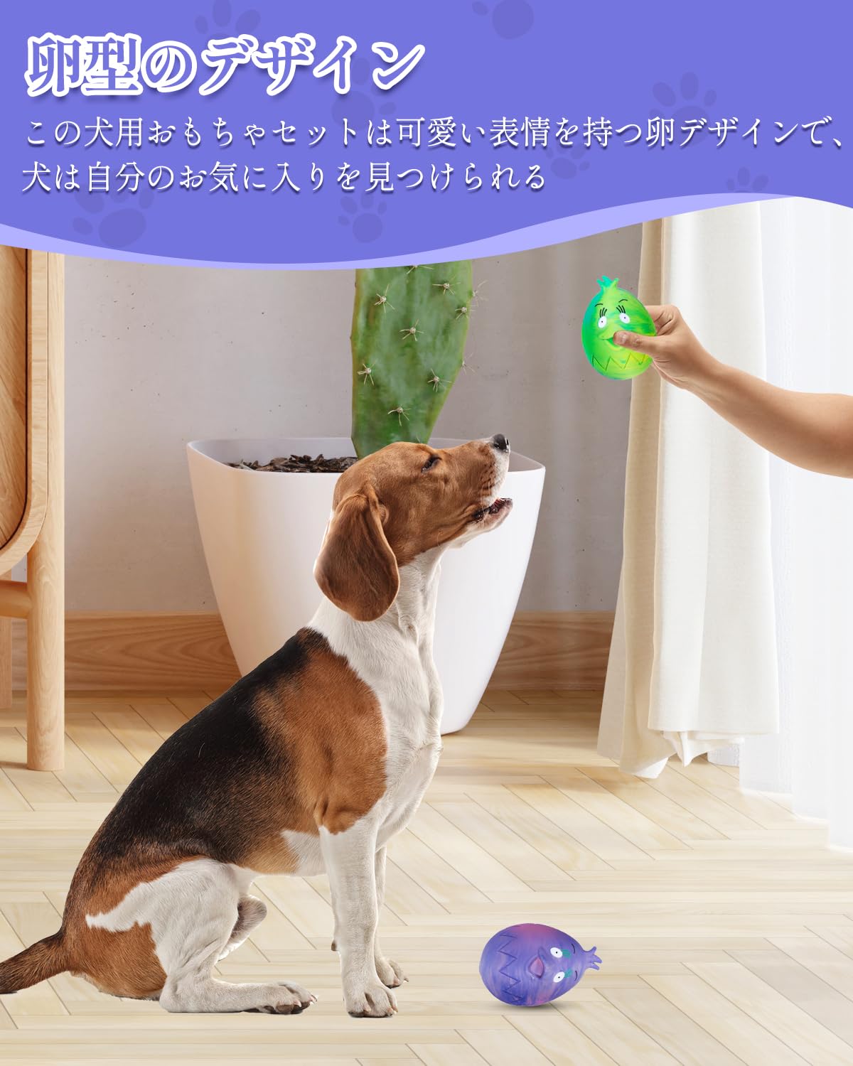 Amazon | KrauzPet 犬 おもちゃ 音が鳴る たまご ボール【ゴム製・運動