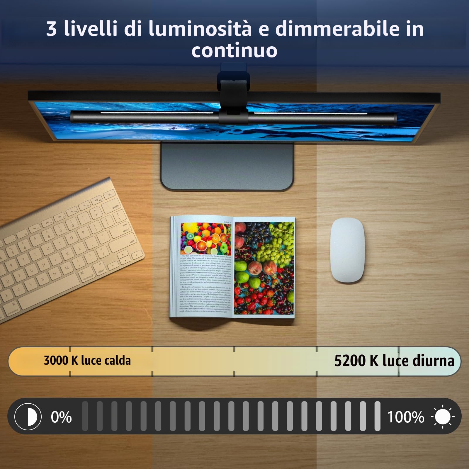 OOWOLF Lampada per Monitor con Telecomando 51cm, Dimmerabile, Retroilluminazione,Luce Led PC di Protezione Gli Occhi,Funzione di Memoria,Barra Light Bar per la Lettura Lavoro