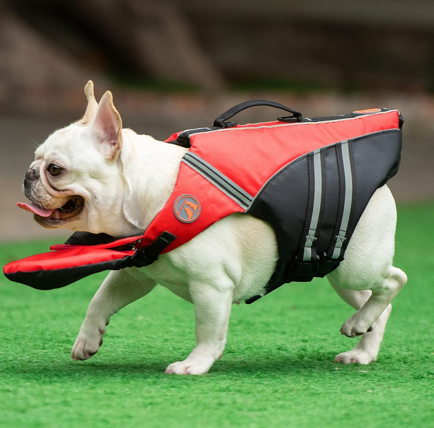 Dog Life Jacket, French Bulldog Life Vest for Swimming Boating, Dog Swim Vest with Chin Float and Rescue Handle, High Flotation Puppy Life Jackets (Chest Girth: 17" to 30", Weight: 17" to 28" LB)