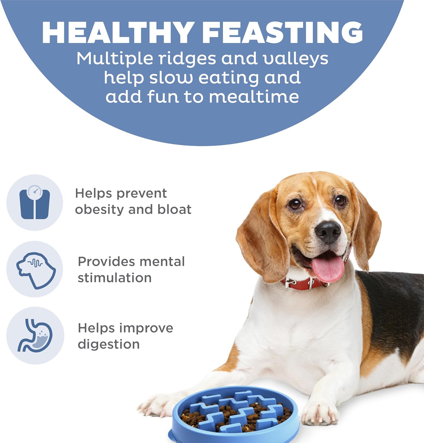 Blue Non-Slip Medium Slow Feeder Dog Bowl