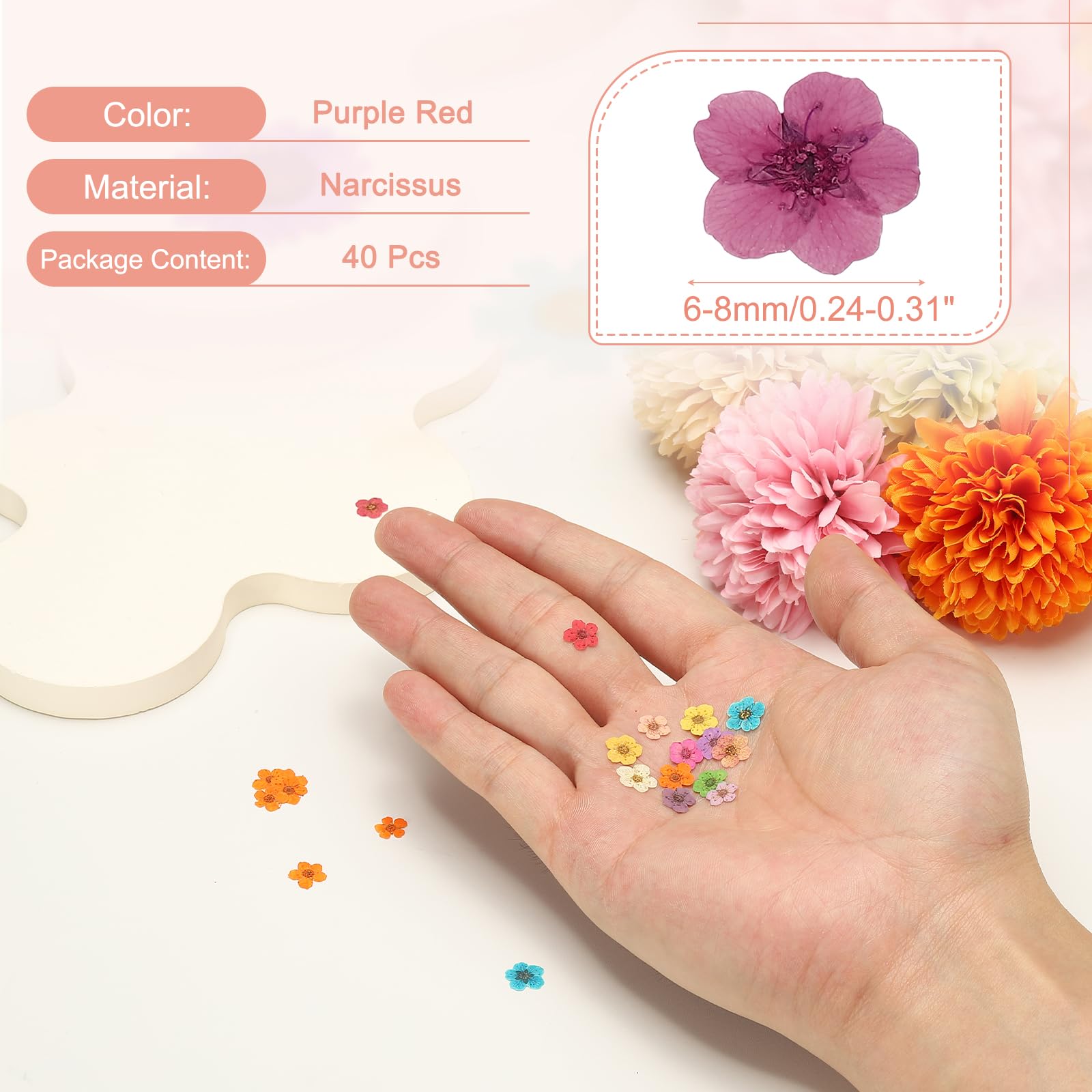 QUARKZMAN 40 Pezzi Fiori Pressati Essiccati, 0.24-0.31" Fiori Colorati Di Narciso Essiccati Pressati All'ingrosso Per Nail Art Resina Gioielli Candele Biglietti Scrapbook, Viola Rosso
