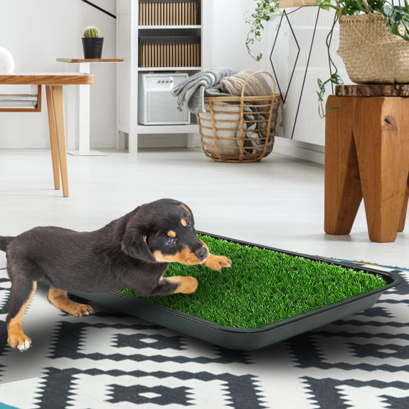 50X60CM Inodoro para Perros, Pipican para Perros en Casa,Bandeja Empapadores, Alfombra de Césped Artificial con Bandeja, Tapete de Entrenamiento para Mascotas para Interiores y Exteriores