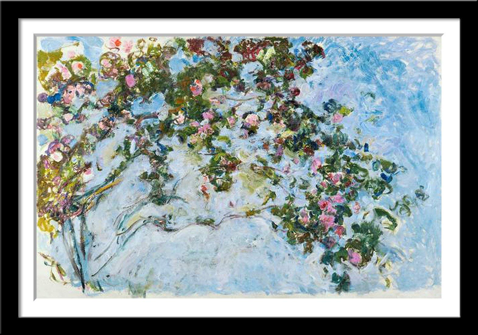 See full amazon price history chart for Tallenge - Claude Monet�- Water Lilies and FlowersThe Roses - Medium Digital Print - Framed (24 x 16 inches) - Multi - Color Tallenge - Claude Monet�- Water Lilies and FlowersThe Roses - Medium Digital Print - Framed (24 x 16 inches) - Multi - Color (B07PWXQPDM) Amazon Price History, Amazon Price Tracker