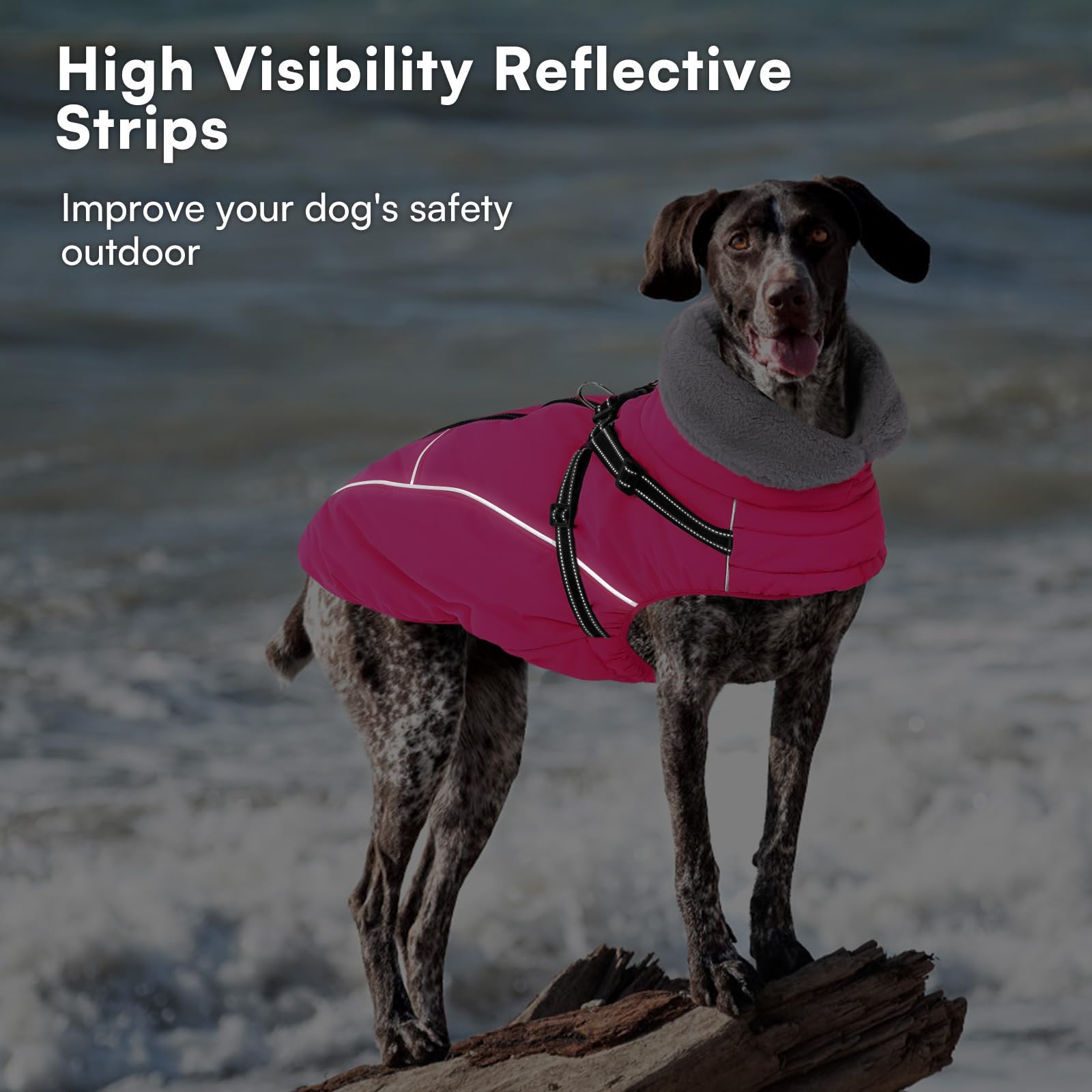 Queenmore Abrigo Perro Impermeable con Arnés | Abrigo Invernal con Forro Polar para Perros Grandes | para Clima Extremo Razas Gigantes(Rosa, 3XL)