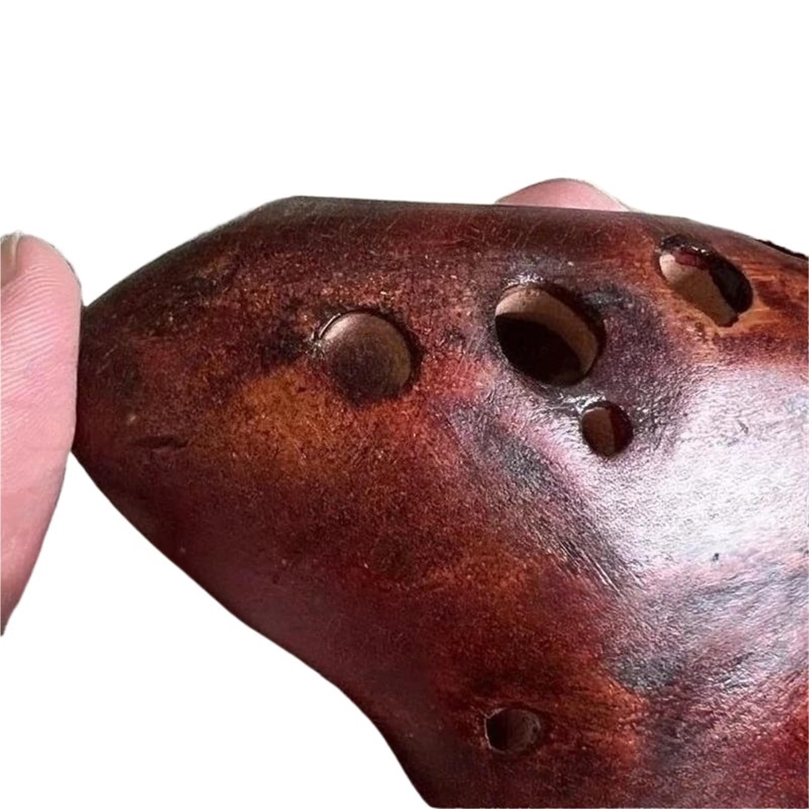 Principianti ocarina Ocarina Professionale A 12 Fori Accordata AC Per Principianti Adulti Che Vogliono Esercitarsi