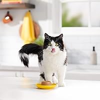 Vista 15 de Meow Mix Paté in Gravy Wet Cat Food with Real Chicken & Beef, 2.75 Ounce (Pack of 12)