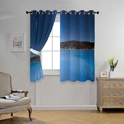 Cortinas Scenic Landscape - Cortina térmica para puerta de garaje, 63 pulgadas de ancho por 63 pulgadas de largo, 2 paneles