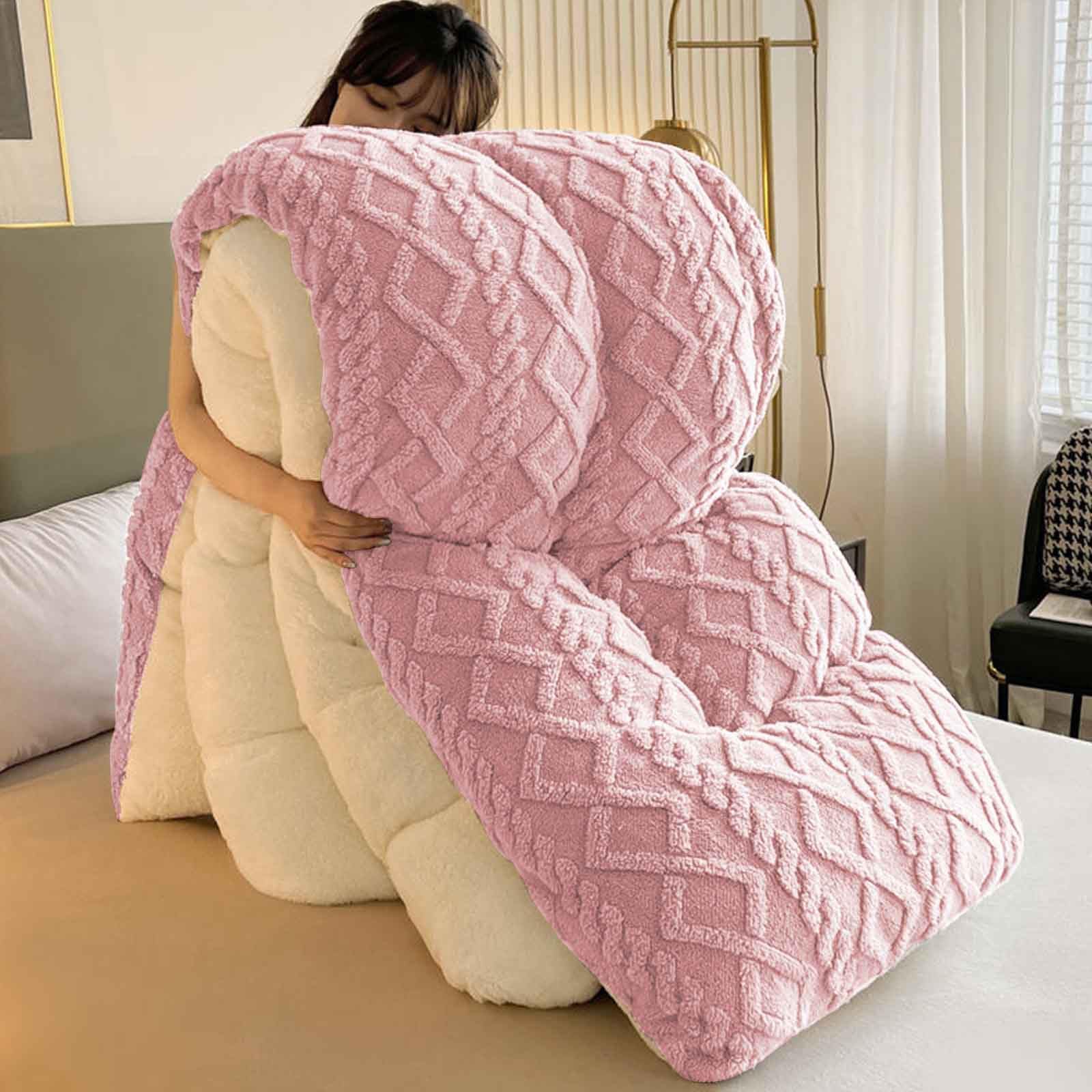 Couette Hiver Très Chaude Couette d'hiver Épaisse Et Chaude en Peau d'agneau Duveteux Couette Épaissir Consolateur Couette De Lit Doux Et Chaud pour(05,220 * 240cm/5kg)