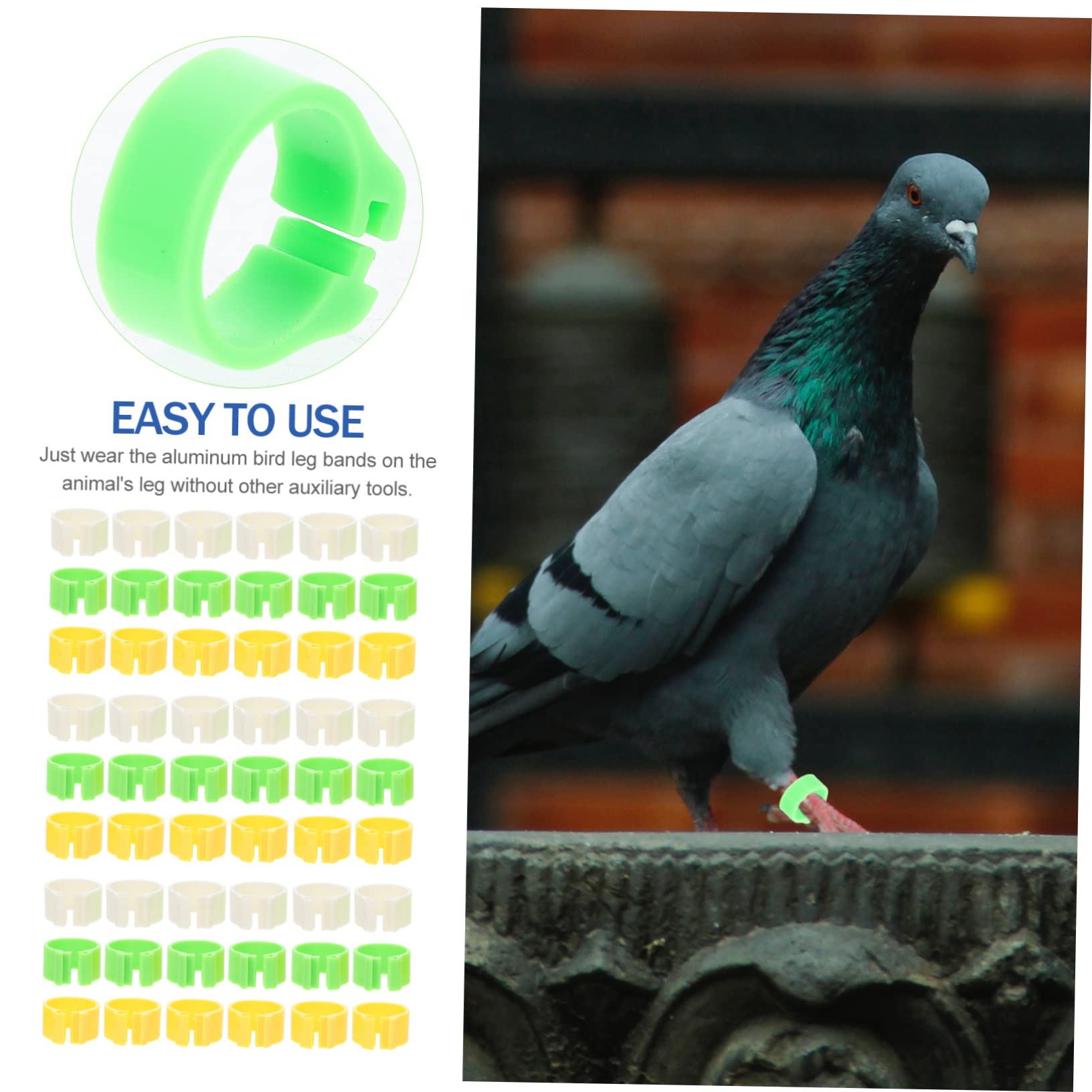 minkissy 900pezzi Anelli per Zampe di Uccelli Colorati Fascette per Piccioni e Pollame Identificazione Facile e Versatile per Pappagalli Anatre e Galline