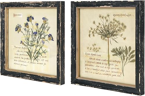 NIKKY HOME Juego de 2 arte botánico para pared, impresiones botánicas vintage con marco de madera y plantas florales, póster decorativo para baño,