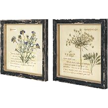 NIKKY HOME Vintage Framed Botanical Prints Set of 2-10x10 Inch Rustic Wood Floral Plant Pictures Wall Art for Bathroom Bedroom Living Room Office