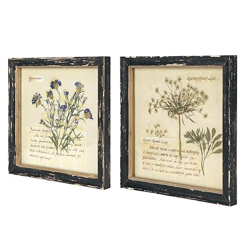 NIKKY HOME Botanical Wall Art Set of 2, Vintage Botanical