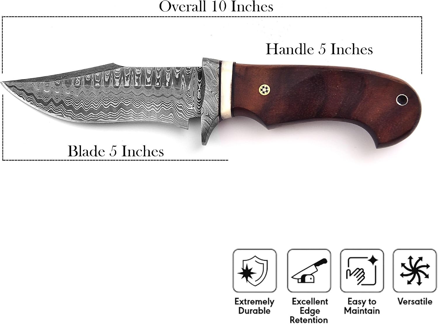 10″ Handmade Damascus Hunting Knife with Leather Sheath – Recurve Fixed Blade with Hollow Grinds for Skinning, Camping, Bushcraft – Full Tang Outdoor Knife with Walnut Burl Handle
