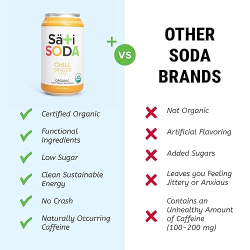 Vista 13 de Sati Soda Berry – Soda energética natural con yerba mate y guayusa – Baja en azúcar (0.32 oz), bebida gaseosa orgánica y limpia con cafeína – Baja