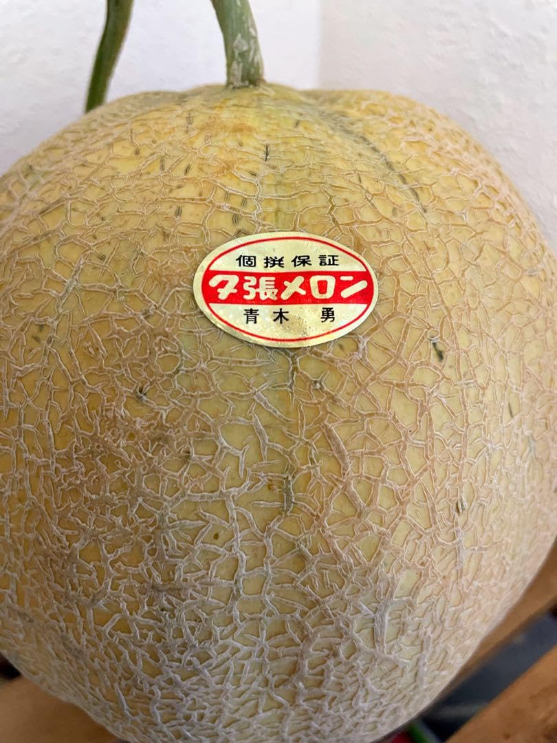メロン様 Amazon.co.jp: 夕張メロンの種（2024年産） : おもちゃ