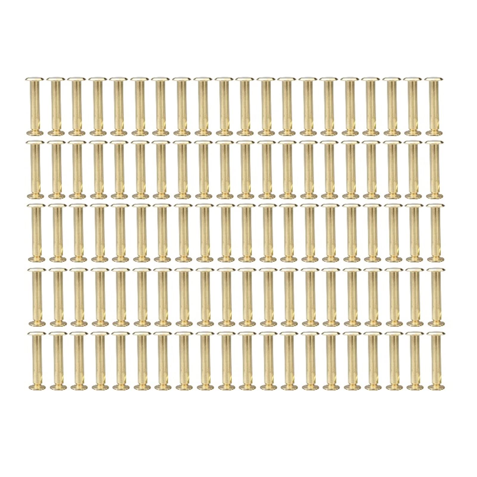 Nity ze skórzanymi nitami śrubowymi, Śruby M,5 (55-80) mm Opakowanie 100 szt. Do oprawy skórzanej albumu z wycinkami(5 x 55mm)